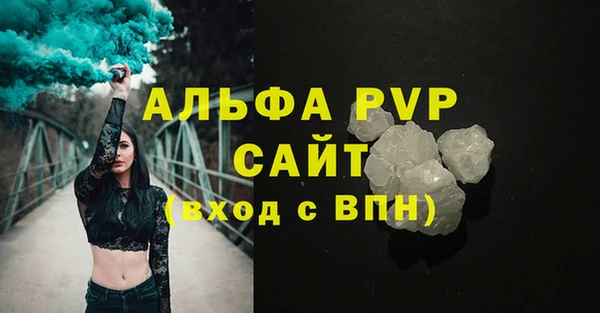 стаф Алексин