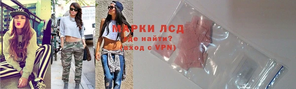 стаф Алексин