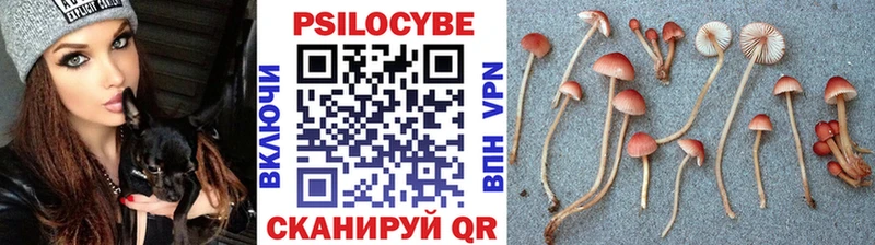 Псилоцибиновые грибы Psilocybe  Ахтырский 